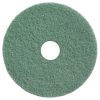 Pad de Curățare Profesional 12" 305mm (verde) - Pad de Curățare Profesional
