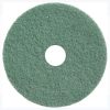 Pad de Frecare 13" 325 mm (Verde) pentru Curățare și Întreținere Pardoseli