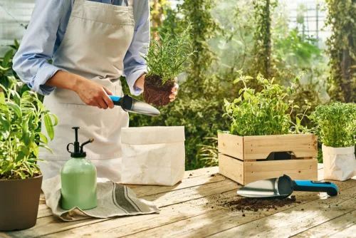 Cellfast ENERGO™ Spatulă Îngustă - Oțel Inoxidabil, Sistem de Siguranță la Atingere, Certificare TÜV GS