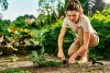 Furcă Manuală Cellfast ENERGO™ pentru Afânare, Plantare și Plivit, Oțel Inoxidabil, Tehnologie TOUCH SAFE