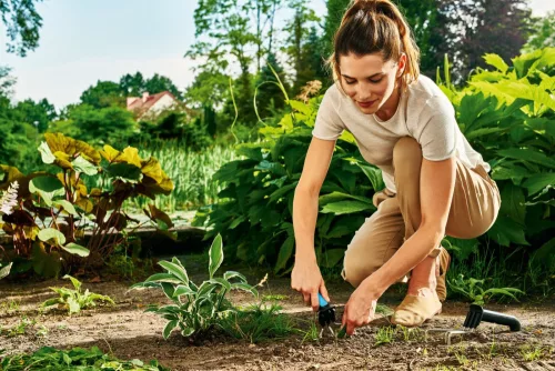 Furcă Manuală Cellfast ENERGO™ pentru Afânare, Plantare și Plivit, Oțel Inoxidabil, Tehnologie TOUCH SAFE