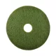 Pad de Curățare 22" 560 mm (Verde) - Ideal pentru Curățarea și Întreținerea Zilnică a Pardoselilor