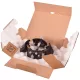 Szénkefe Készlet Kefemeghajtó Motorhoz – Hakomatic és Scrubmaster (77x48x38 mm, 00553060)