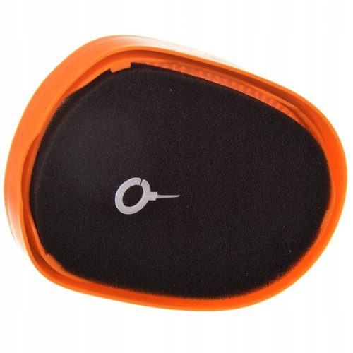 Filtru Lavabil pentru Aspiratoare Philips SpeedPro Max și SpeedPro Max Aqua