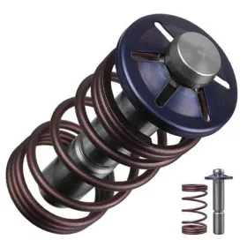   Set Piston Original Karcher K7, K6 Premium pentru Spălător cu Presiune, Piston cu Diametru de 12mm, cu Arc și Element de Siguranță (9.002-522.0)