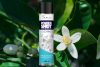 Spray Neutralizator de Mirosuri și Odorizant de Aer cu Aromă de Flori de Citrice - Kala Power Shot Flori de Citrice (600 ml)