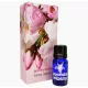 Esență Concentrată de Parfum iFresh cu Aromă de Floare de Cireș – 10 ml, Kala Parfumul Primăverii Japoneze