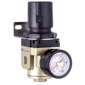   Reductor de Presiune AR3000-02 cu Manometru de 1/4" pentru Compresor