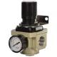 Reductor de Presiune AR5000-10 cu Manometru de 1 Inch pentru Compresor