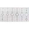 Set de Inel O Rezistent la Ulei în Cutie de Plastic (225 piese) TC Technic SK2403