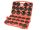 Set Chei Tubulare pentru Montare și Demontare Filtre de Ulei (30 Piese) TC Technic SK1710