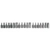 Set de Biți Torx și Imbus cu 40 de Piese TC Technic BS40