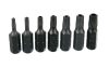 Set de Chei și Biți Torx în Geantă de Plastic (30 Piese) TC Technic JC1533
