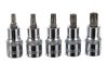 Set de Chei și Biți Torx în Geantă de Plastic (30 Piese) TC Technic JC1533