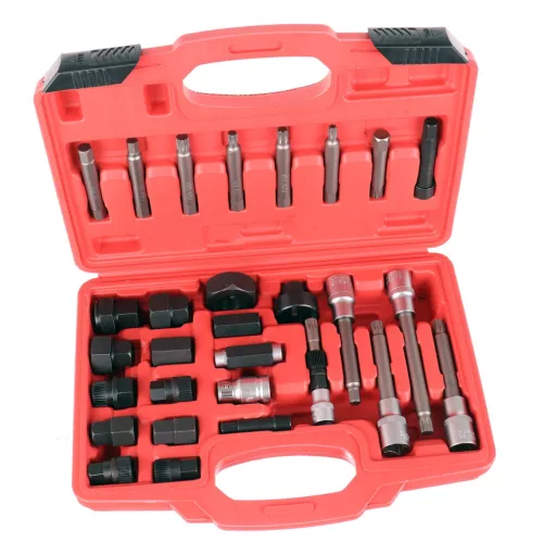 Set de Chei pentru Generator cu Geantă din Plastic (30 de Piese) pentru Vehicule Audi, BMW, Ford - TC Technic