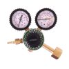 Mini Reductor de Presiune pentru Azot cu Manometru Dublu 16 BAR Technic 2076