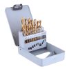 Set de Burghie din Titan în Cutie Metalică din Oțel Rapid cu Acoperire din Nitrid de Titan 1-10mm (19 piese) TC Technic 28540