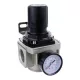 Regulator de presiune cu manometru de 1 inch pentru compresor AR5000-10CH
