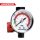 Mini Regulator de Presiune cu Manometru pentru Pistoale de Pulverizare Aeropro A613 Premium 1/4" (6.35 mm)