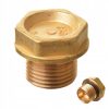 Supapă și Dop Supapă KIT pentru Serii de Spălătoare cu Presiune Mare W, WS, WW, T, TS, TT, Filet M24x1,5