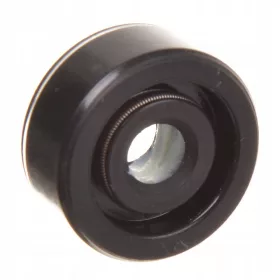   Garnitură Originală de Arbore pentru Pompa de Combustibil Karcher, Compatibilă cu Spălătoare cu Presiune Înaltă HDS 895 1295 695 790 990 (6.472-105.0)