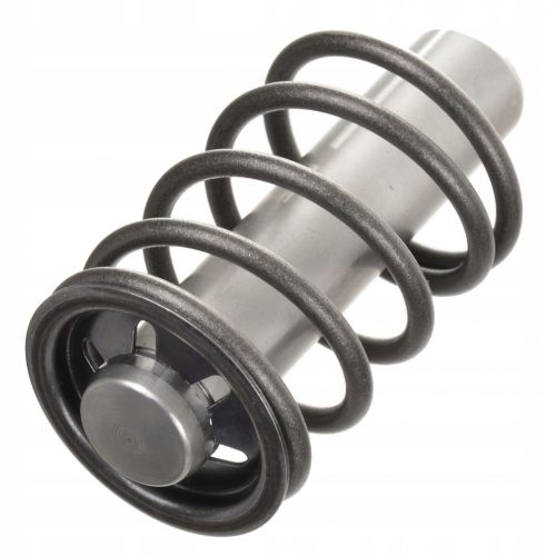 Piston Original pentru Spălătoare cu Presiune Karcher K3, K4, K5 - Seria Control Total (9.001-927.0)