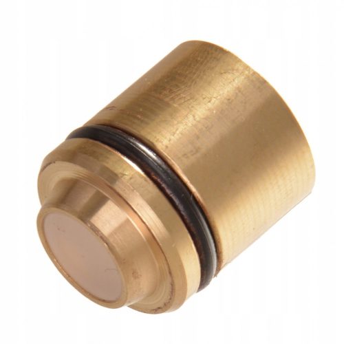 Dugattyu cu Garnitură de Protecție și Conector Supapă cu Blocare Kärcher - Compatibil HDS 1195, 1295, 695, 795, 801, 895, 995, 1000 BE/D