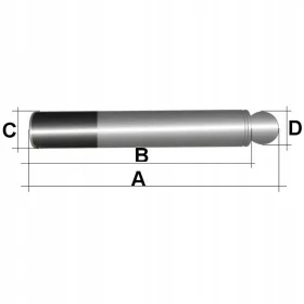   Piston cu Înveliș Ceramic pentru Karcher HD 10/25, 10/20 Spălătoare cu Presiune, 20 mm (4.553-282.0)