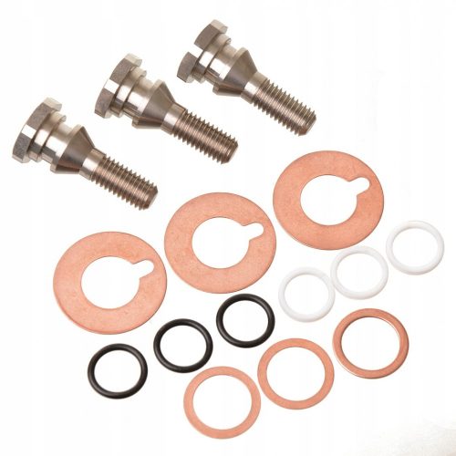 Set Șuruburi Fixare Piston Ceramic Compatibil Interpump/Generalpump Seria W, WS, WW, T, TS - 15 bucăți, M8, 20-22 mm
