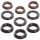 Set de Garnituri INTERPUMP Diametru 18 mm pentru Pompe Seria W - Compatibil cu Modelele W97, W112, W124, W140, W154, W954, W955, W956, W958, W959