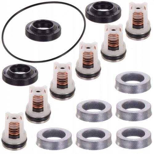 Kit de Reparație KARCHER Xpert cu Garnituri și Supape pentru Pistoane de 12 mm