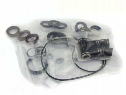 Kit de Reparare pentru Cap de Pompare 18mm, Compatibil cu Seria Karcher HDS (Înlocuitor: 2.883-172.0)