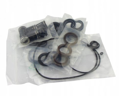 Kit de Reparare pentru Cap de Pompare 18mm, Compatibil cu Seria Karcher HDS (Înlocuitor: 2.883-172.0)