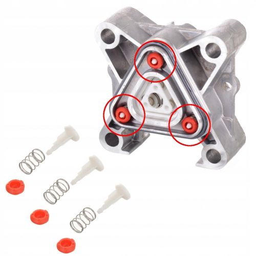 Set Supape Compatibil pentru Spălătoare cu Presiune Karcher K2 - K5 (9.001-110.0)