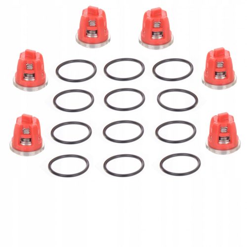 Set Supape KR11 pentru Pompe de Spălare Kranzle - Serii AQ/B/D/HD/Profi-JET/QUADRO/THERM/W