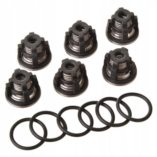 Set Supape de Presiune de Top 6x pentru Seria 194 Annovi Reverberi - CWX, XW, XWA (A2780)