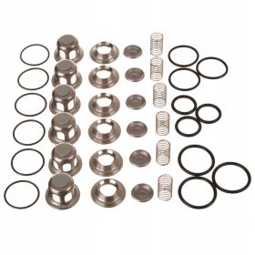   Set Supapă de Înaltă Presiune pentru Pompe CAT 230, 240, 270 – C12, 6 Bucăți (30915)