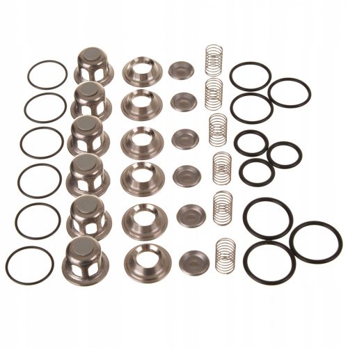 Set Supapă de Înaltă Presiune pentru Pompe CAT 230, 240, 270 – C12, 6 Bucăți (30915)