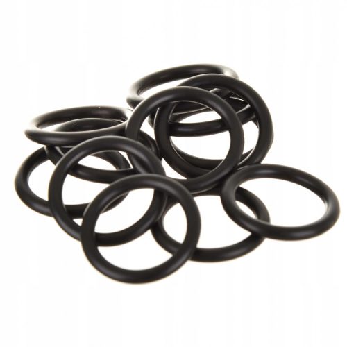 Kit de Reparație pentru Pompe Kranzle - Supape și Garnituri Inel O (6x Supapă 29,5x16 mm, 12x Garnitură Inel O 12x2 mm)