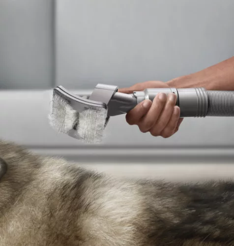 Set de Îndepărtare a Părului de Animal pentru Aspiratoare Dyson, cu Tub Telescopic și Cap de Aspirație PET Groom