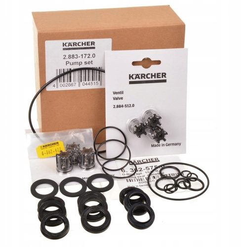 Set de Reparație Cap Pompă pentru KARCHER HDS 600, 655, 695, 790, 795, 797, 890, 895 cu Pistoane de 18 mm (Cod: 2.883-172.0)
