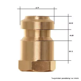   Conector Alamă Click & Clean 1/4" pentru Mașini de Spălat cu Presiune Nilfisk