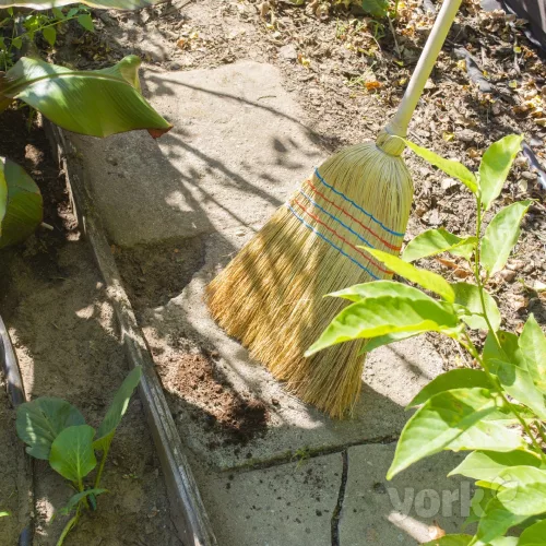 Mătură Cirok cu Coadă Lungă din Lemn, Peri Naturali Rezistenți - YORK - GRĂDINĂ DIN VIS