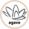 Set 3 Bureți de Bucătărie ECO din Material Reciclat și Agave Natural - YORK ECO NATURAL