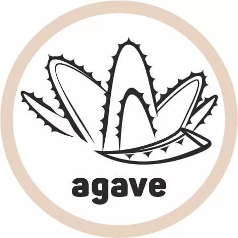 Set 3 Bureți de Bucătărie ECO din Material Reciclat și Agave Natural - YORK ECO NATURAL