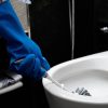 Perie WC Antibacteriană cu Suport - YORK OPRIREA BACTERIILOR