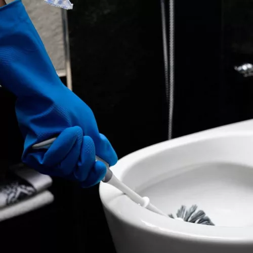 Perie WC Antibacteriană cu Suport - YORK OPRIREA BACTERIILOR