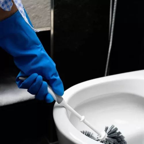Perie WC Antibacteriană cu Suport - YORK OPRIREA BACTERIILOR